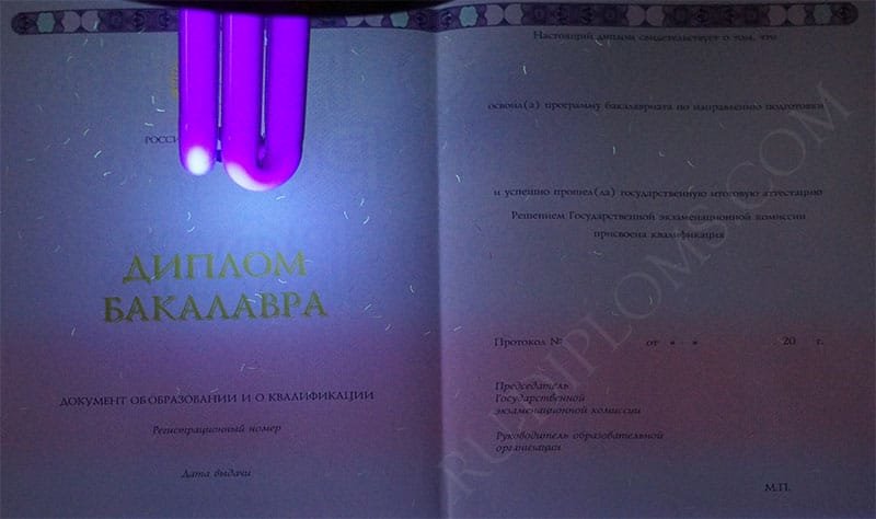 Диплом бакалавра 2014-2025 НОВОГО ОБРАЗЦА Москва